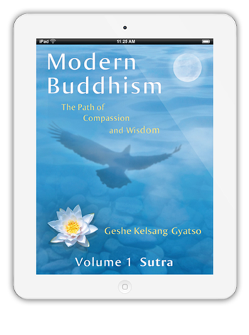 Modern Buddhism eBook on iPad