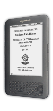 Modern Buddhism eBook on Kindle