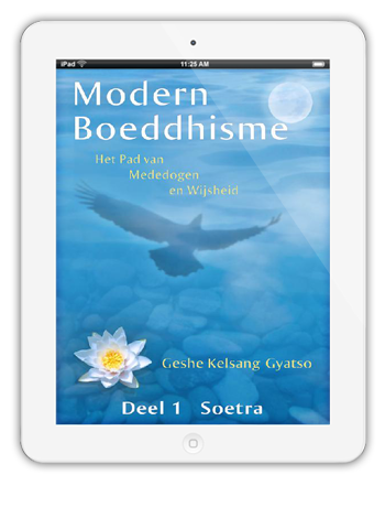 Modern Boeddhisme eBook op iPad